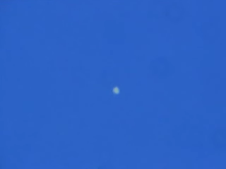 120117venus.jpg