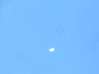 venus110112.JPG