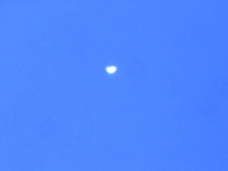 venus110127.jpg