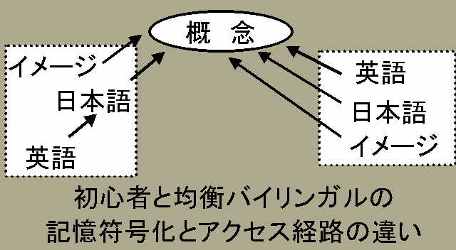 加算効果とアクセス経路